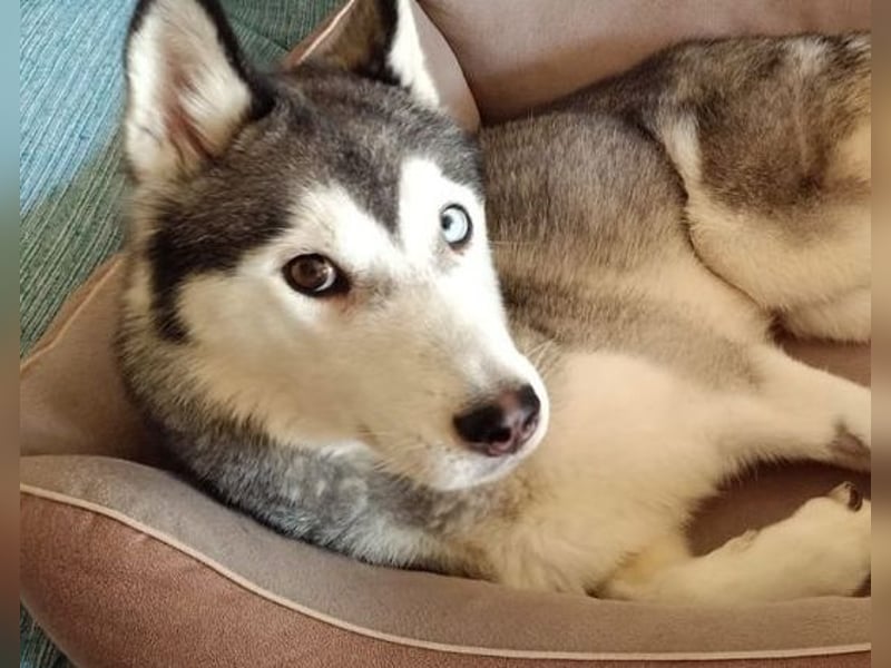 Eve, ein Leben auf dem Balkon ;-(   , fast  2 Jahre lang