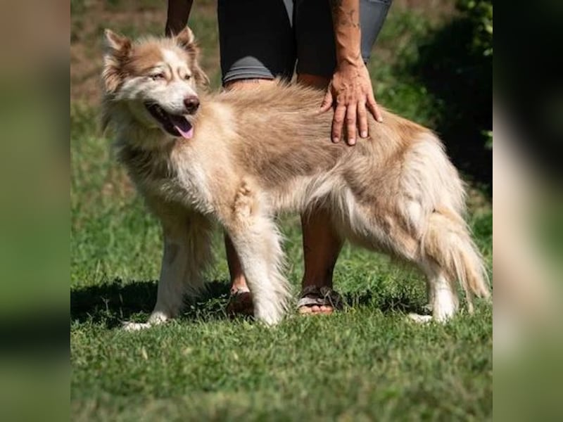 Nilus