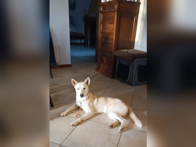 Perla: Sportskanone und Kuschelmaus