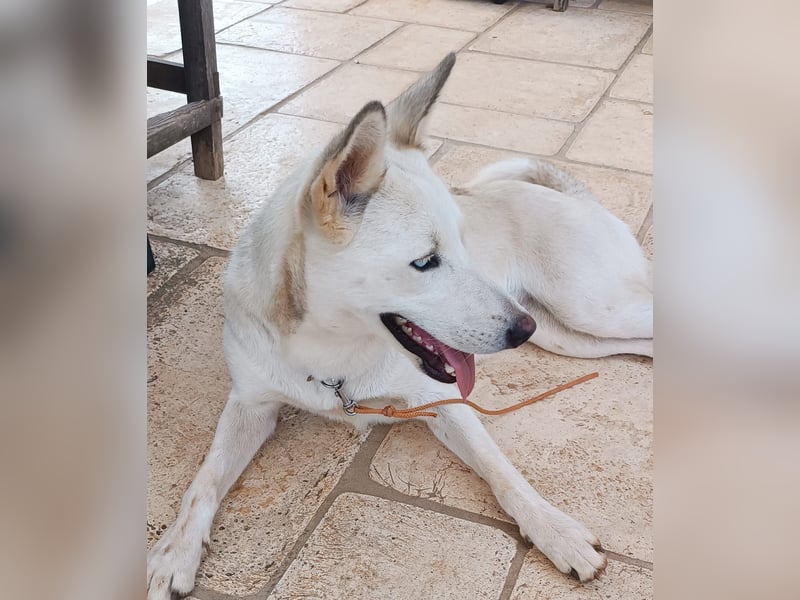 Perla: Sportskanone und Kuschelmaus
