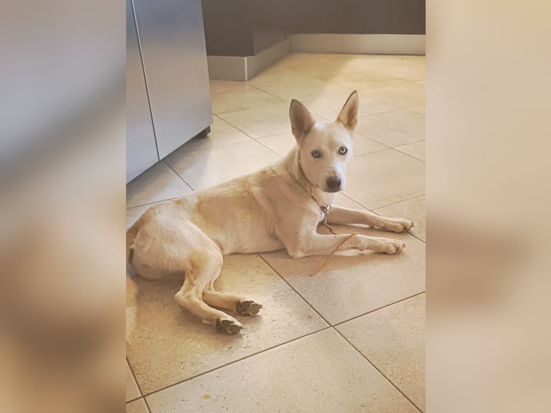 Perla: Sportskanone und Kuschelmaus
