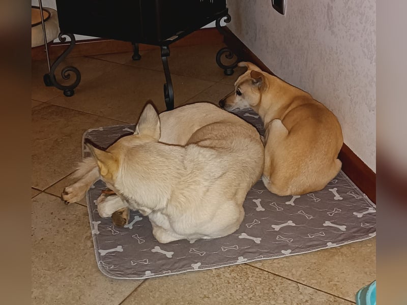 Perla: Sportskanone und Kuschelmaus