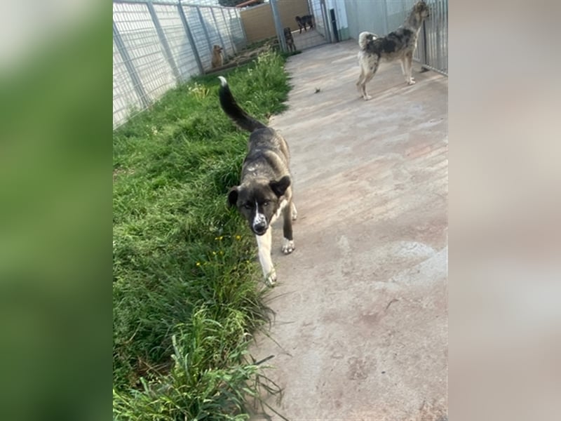 Emma sucht ihre Familie