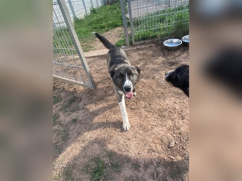 Emma sucht ihre Familie