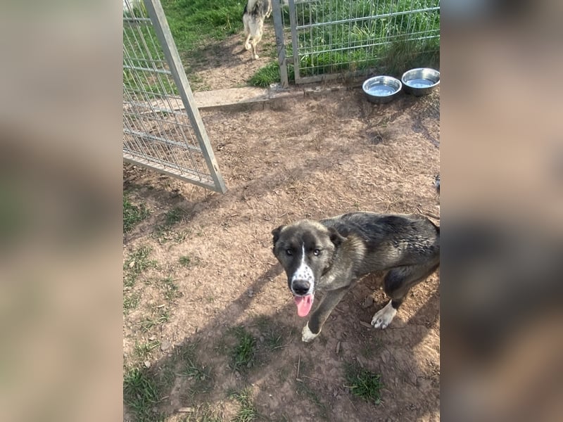 Emma sucht ihre Familie