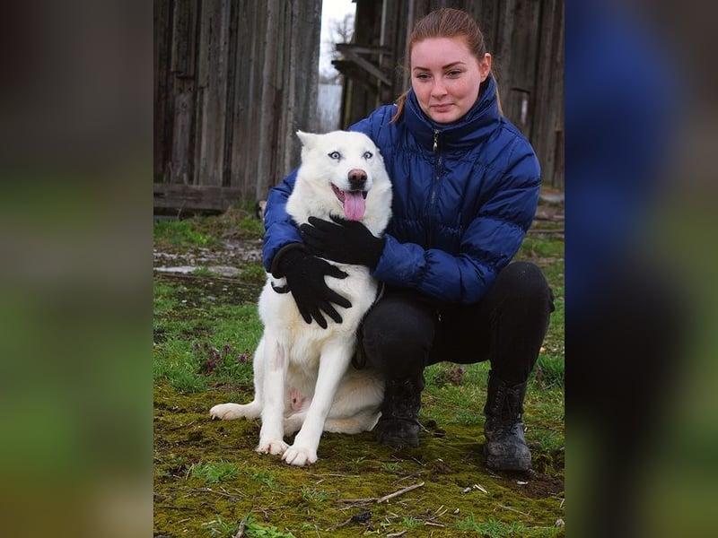 Angyal liebt Wanderungen und Aktivität