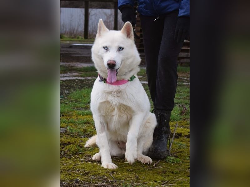 Angyal liebt Wanderungen und Aktivität