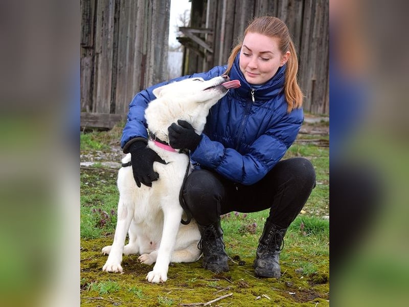 Angyal liebt Wanderungen und Aktivität