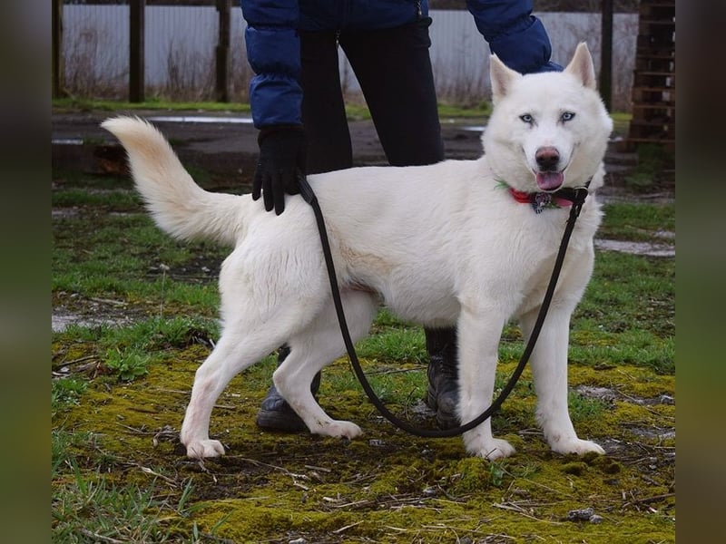 Angyal liebt Wanderungen und Aktivität