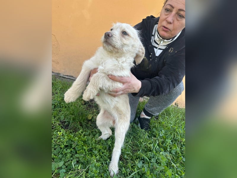 Aurora, geboren 11.12.2025, 32cm sucht ihre Familie