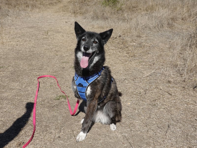 Oma Tammy sucht Menschen mit Herz