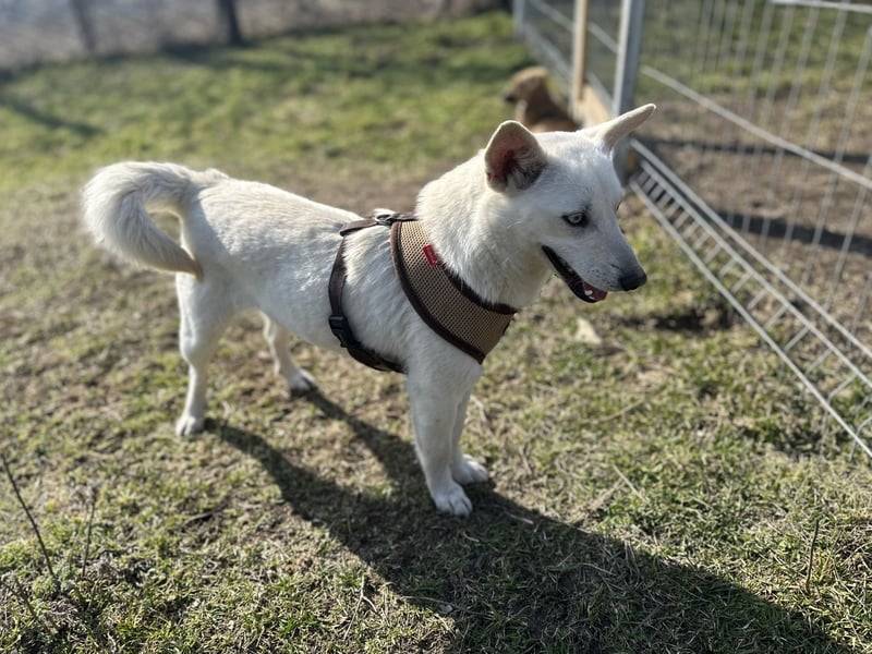 Hübsche Bianca sucht ihre Herzensmenschen