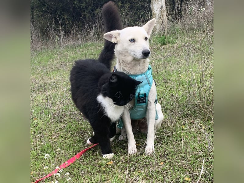 Hübsche Bianca sucht ihre Herzensmenschen