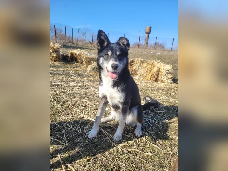 Hübsche Alexa sucht eine liebevolle Familie