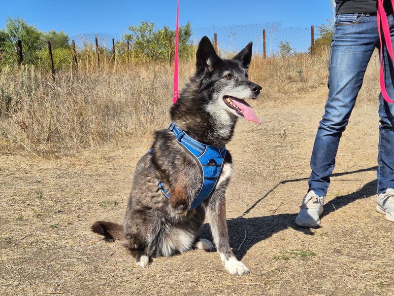 Oma Tammy sucht Menschen mit Herz