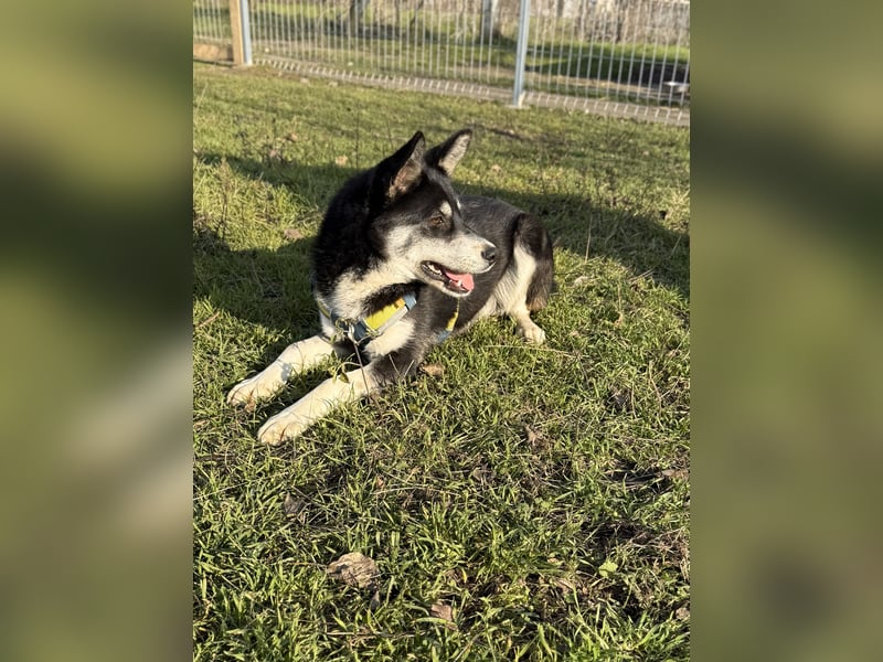 Hübsche Alexa sucht eine liebevolle Familie