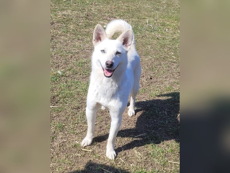 Hübsche Bianca sucht ihre Herzensmenschen