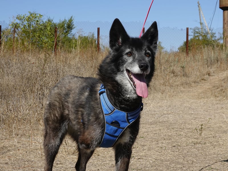 Oma Tammy sucht Menschen mit Herz