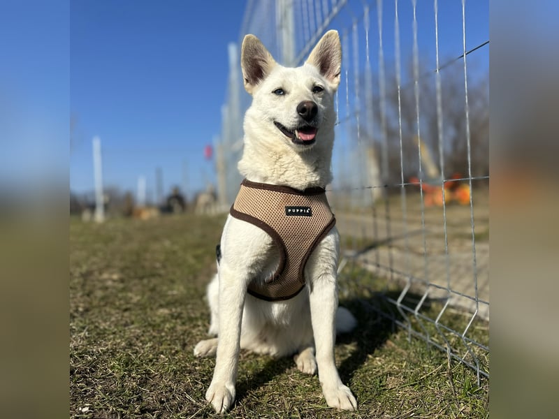 Hübsche Bianca sucht ihre Herzensmenschen