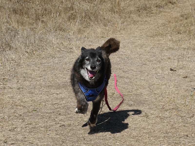 Oma Tammy sucht Menschen mit Herz