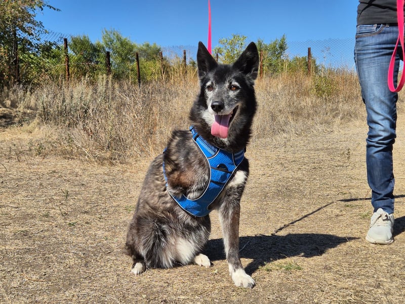 Oma Tammy sucht Menschen mit Herz