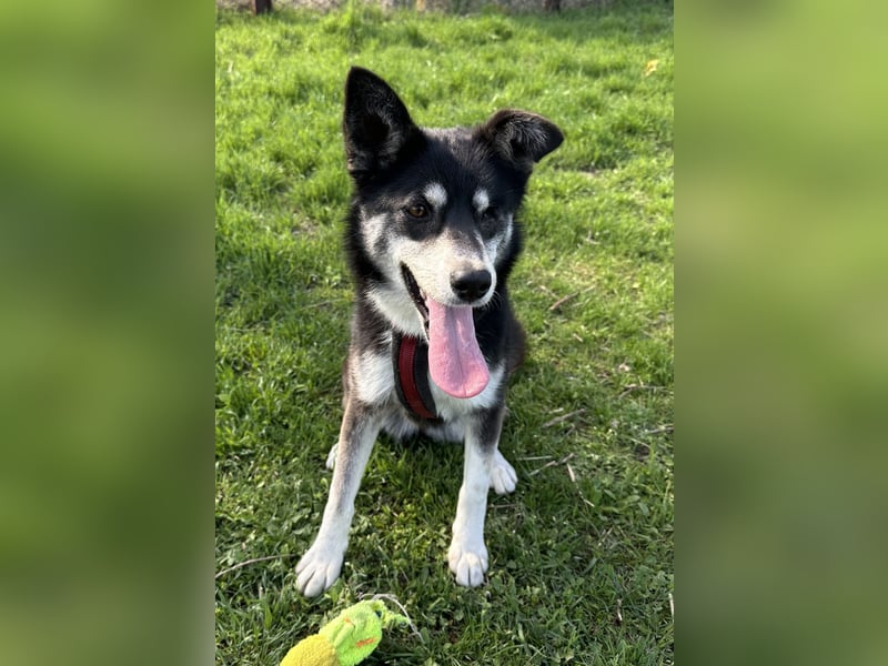 Hübsche Alexa sucht eine liebevolle Fami