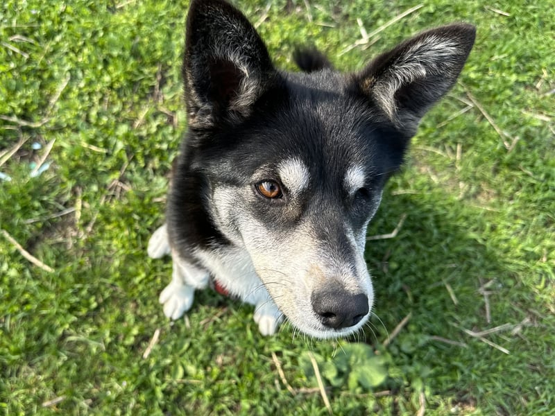 Hübsche Alexa sucht eine liebevolle Fami