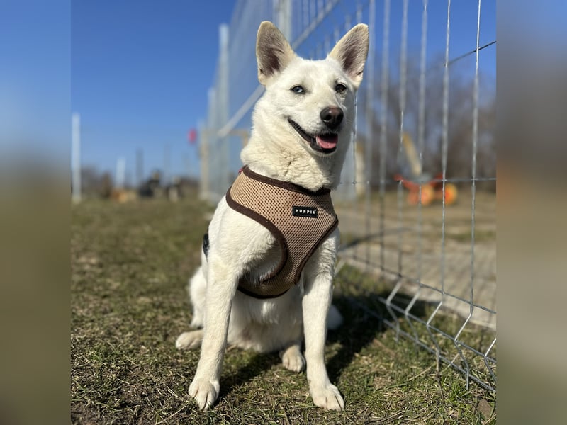 Hübsche Bianca sucht ihre Herzensmenschen