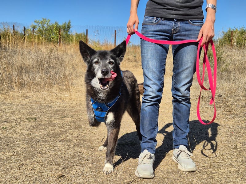 Oma Tammy sucht Menschen mit Herz