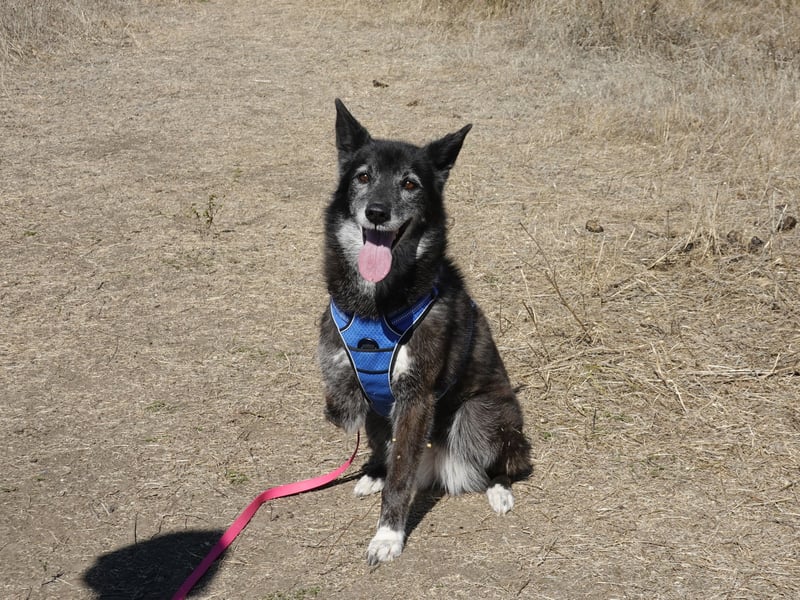 Oma Tammy sucht Menschen mit Herz