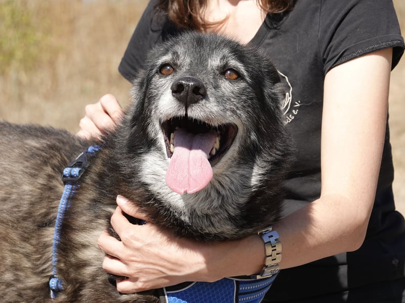 Oma Tammy sucht Menschen mit Herz