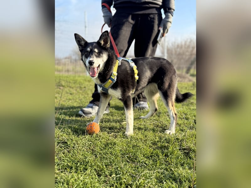 Hübsche Alexa sucht eine liebevolle Familie
