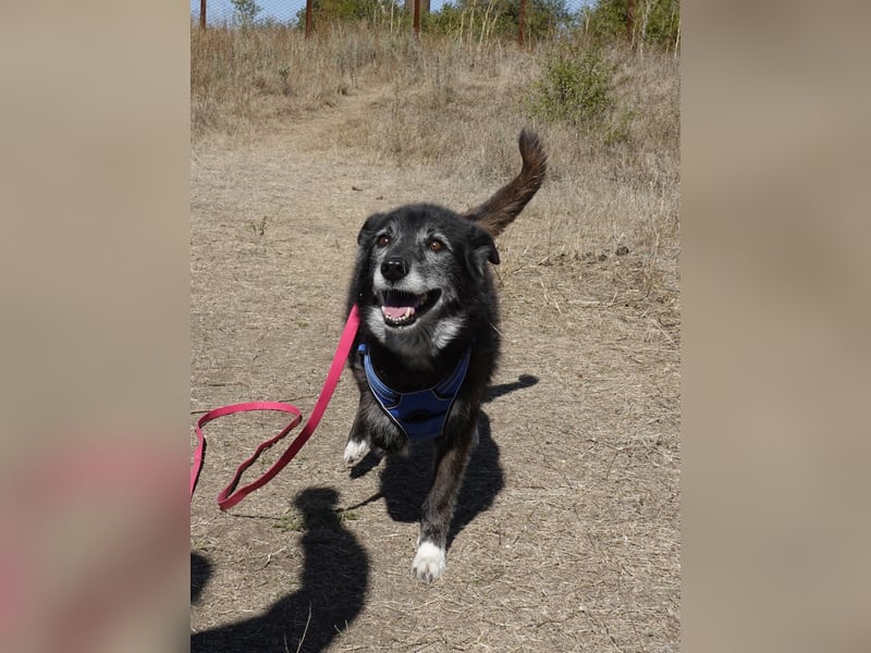 Oma Tammy sucht Menschen mit Herz