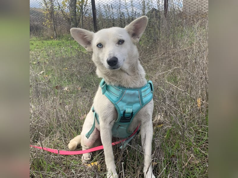 Hübsche Bianca sucht ihre Herzensmenschen