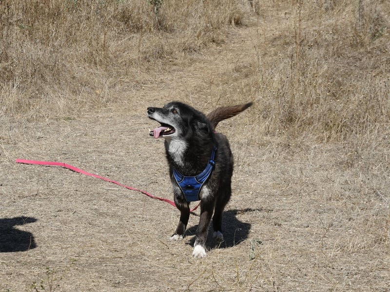 Oma Tammy sucht Menschen mit Herz