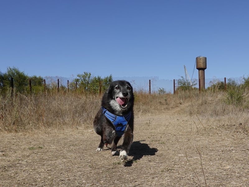 Oma Tammy sucht Menschen mit Herz