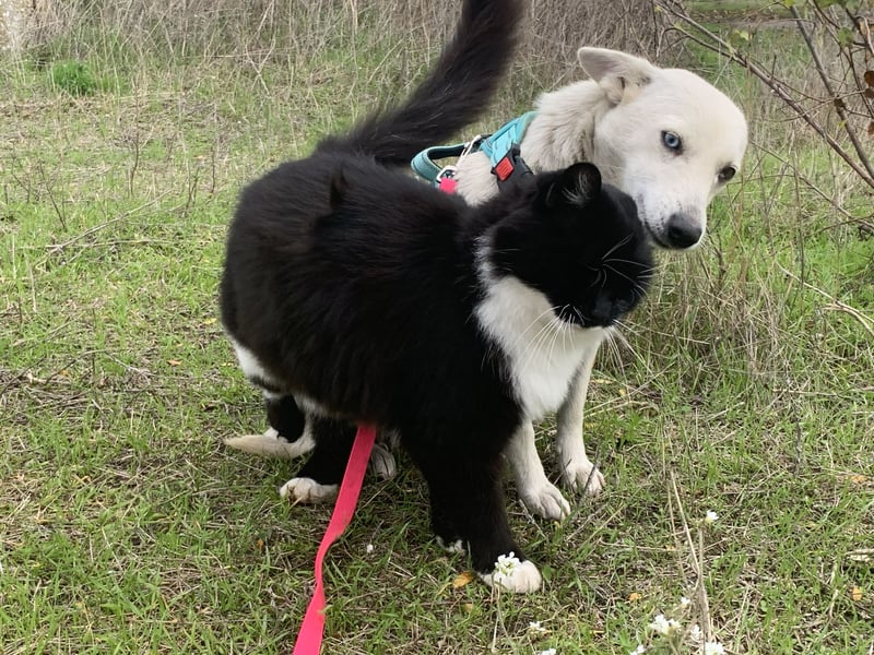 Hübsche Bianca sucht ihre Herzensmenschen