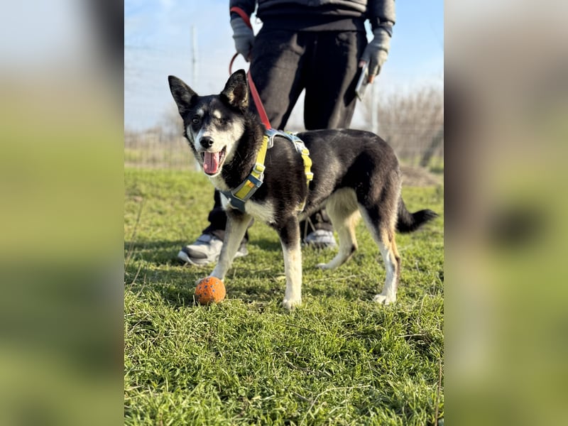 Hübsche Alexa sucht eine liebevolle Familie