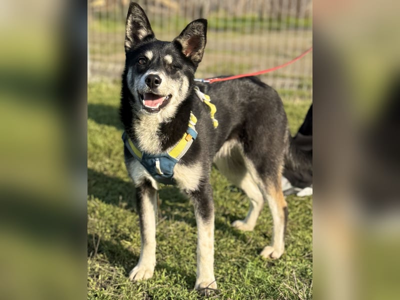 Hübsche Alexa sucht eine liebevolle Familie