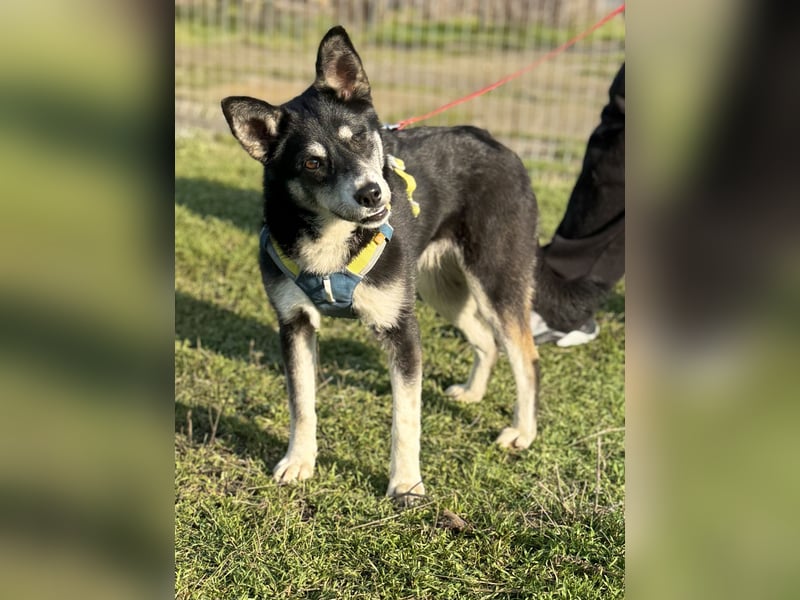 Hübsche Alexa sucht eine liebevolle Fami