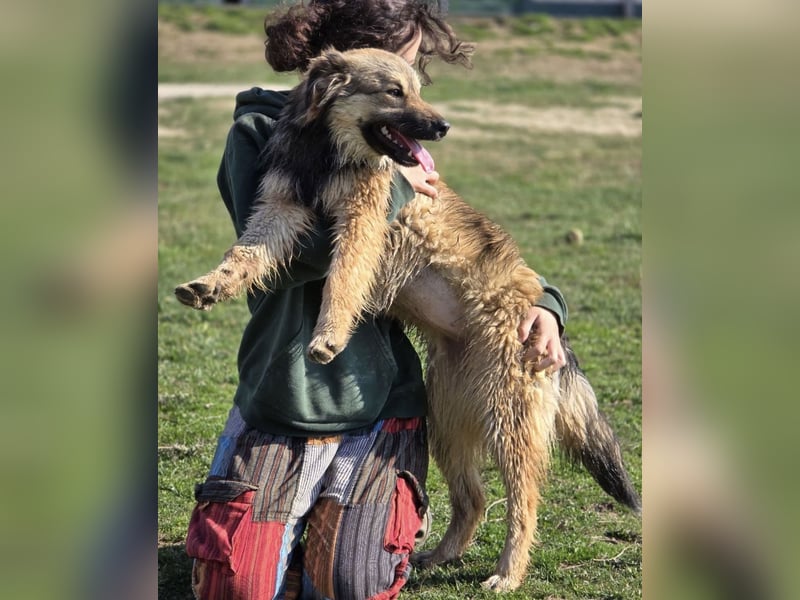 Kendall eine aktive Begleiterin fürs Leben