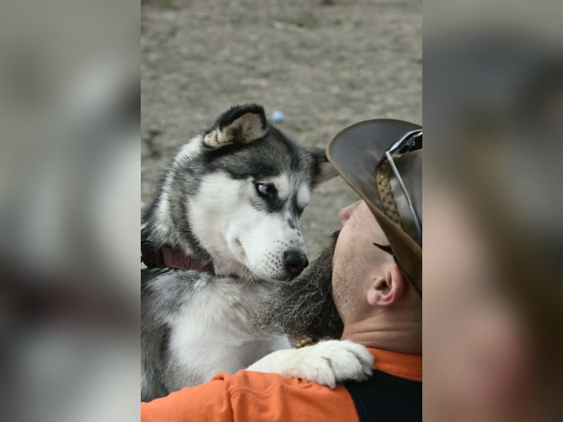 Unser Herzstück: KIRA, 8 Jahre alt