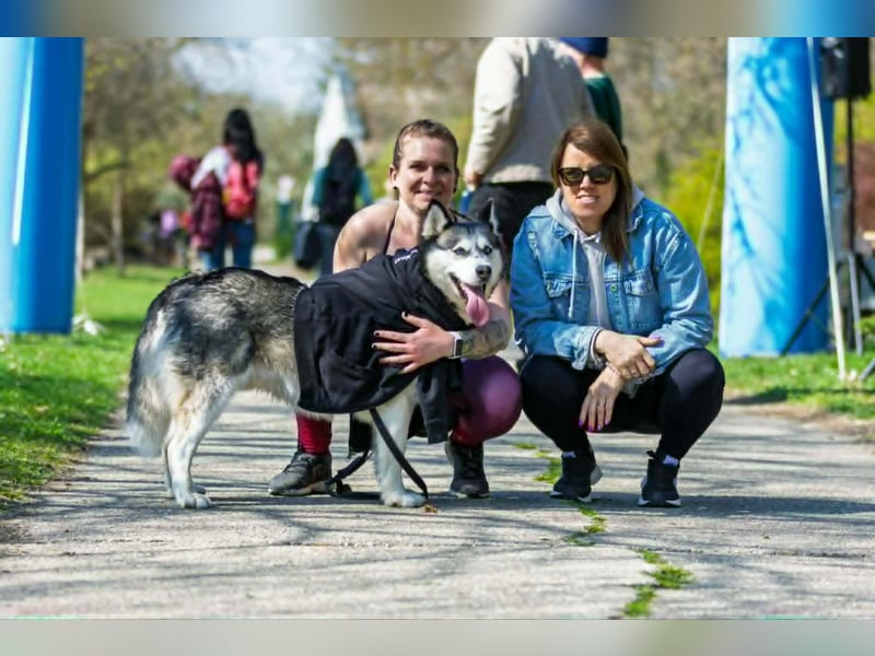 Unser Herzstück: KIRA, 8 Jahre alt