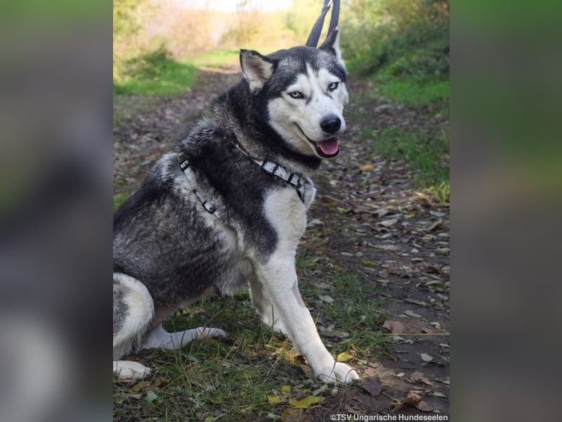 Cher – aus dem Dunkel befreit, jetzt sucht sie Licht im Leben