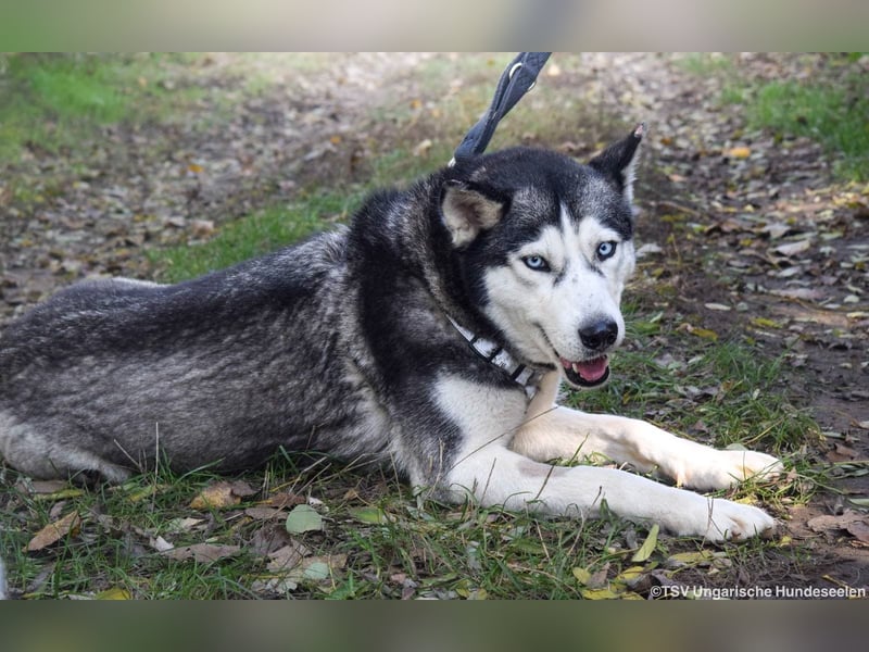 Cher – aus dem Dunkel befreit, jetzt sucht sie Licht im Leben