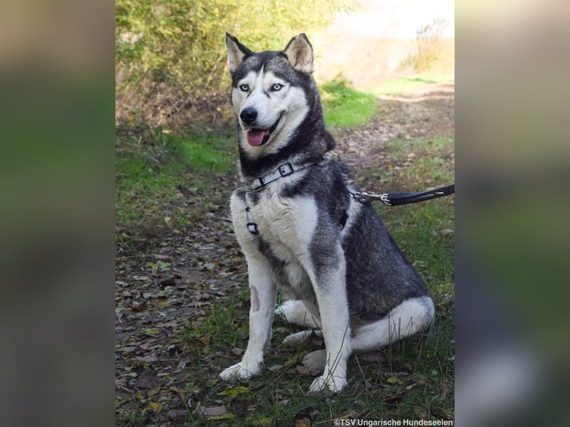 Cher – aus dem Dunkel befreit, jetzt sucht sie Licht im Leben