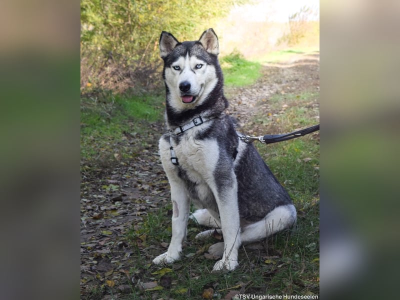 Cher – aus dem Dunkel befreit, jetzt sucht sie Licht im Leben