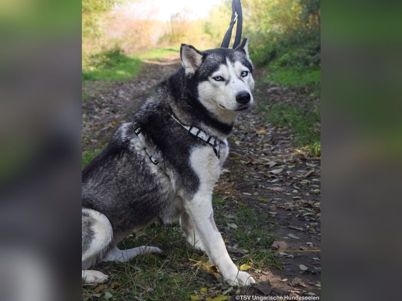 Cher – aus dem Dunkel befreit, jetzt sucht sie Licht im Leben