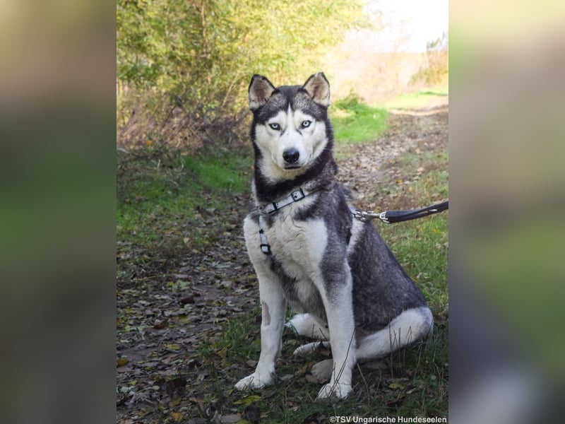 Cher – aus dem Dunkel befreit, jetzt sucht sie Licht im Leben