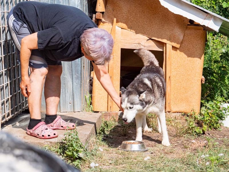 SHEYLLA-großes Herz auf der Suche nach ihrer liebevollen Für-immer-Familie